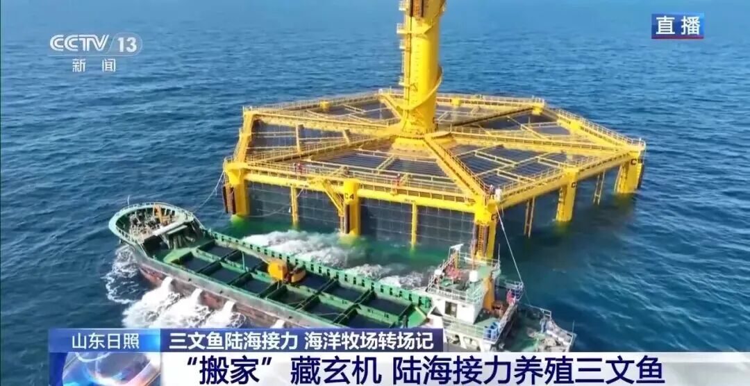 直擊海洋牧場(chǎng)轉(zhuǎn)場(chǎng) | 我國(guó)迎來三文魚陸海接力養(yǎng)殖時(shí)代(圖6)