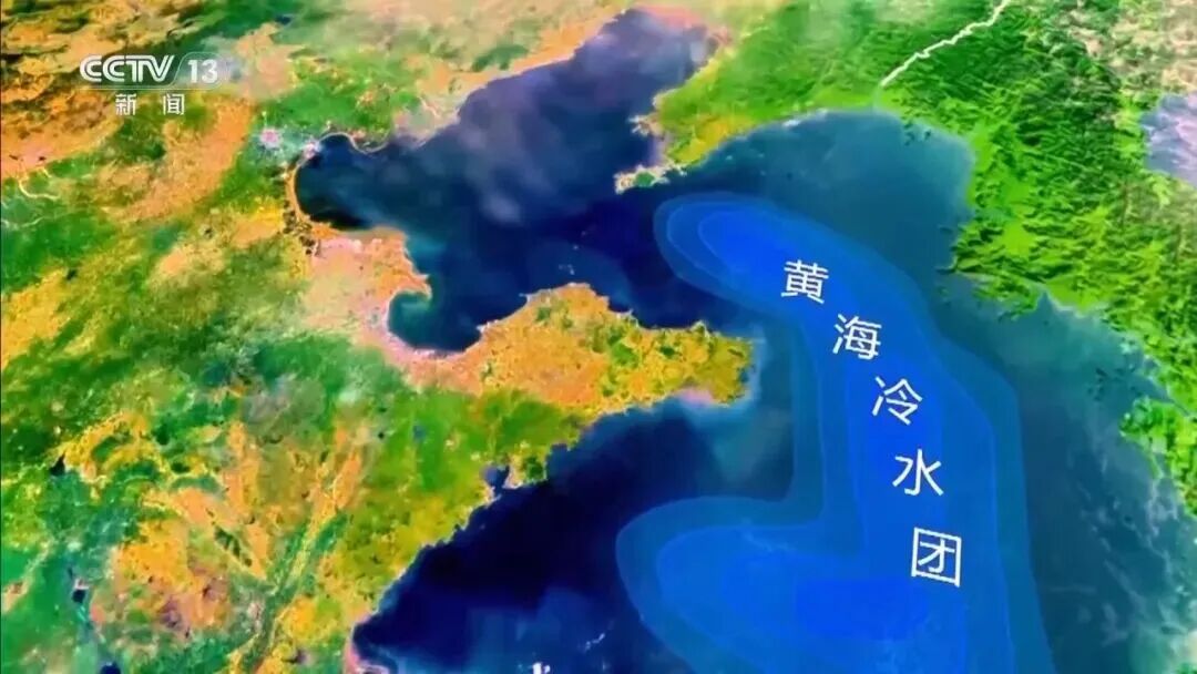 直擊海洋牧場(chǎng)轉(zhuǎn)場(chǎng) | 我國(guó)迎來三文魚陸海接力養(yǎng)殖時(shí)代(圖15)