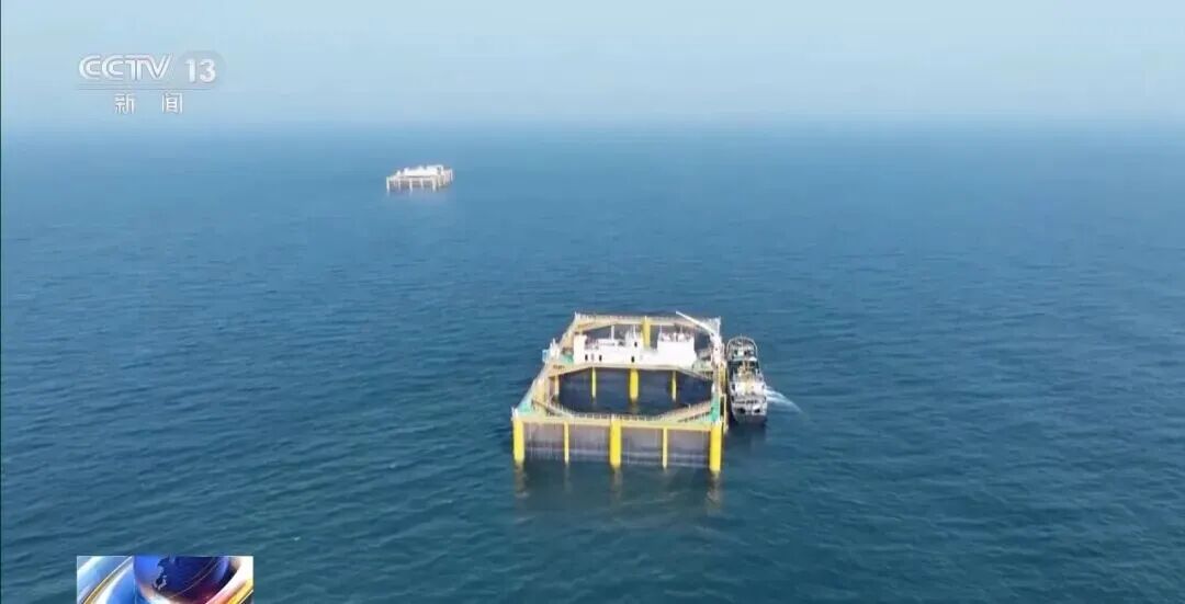 直擊海洋牧場(chǎng)轉(zhuǎn)場(chǎng) | 我國(guó)迎來三文魚陸海接力養(yǎng)殖時(shí)代(圖13)