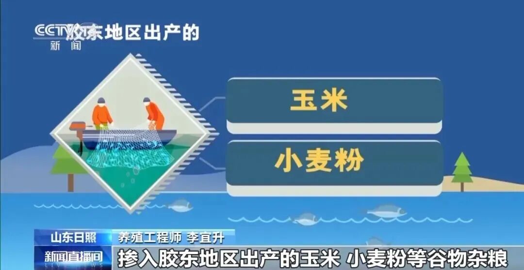 直擊海洋牧場(chǎng)轉(zhuǎn)場(chǎng) | 我國(guó)迎來三文魚陸海接力養(yǎng)殖時(shí)代(圖12)