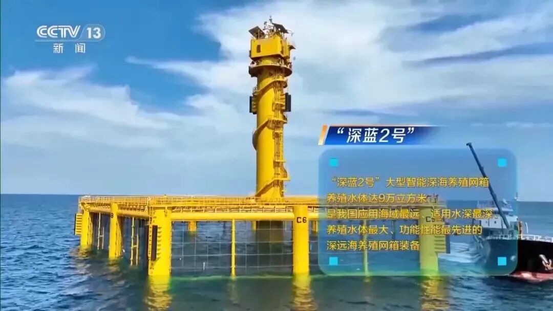 直擊海洋牧場(chǎng)轉(zhuǎn)場(chǎng) | 我國(guó)迎來三文魚陸海接力養(yǎng)殖時(shí)代(圖16)