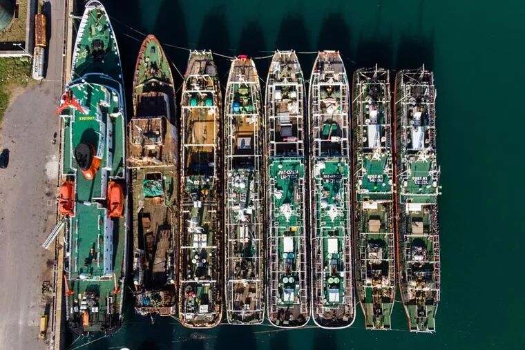 阿根廷魷魚季開局不利：惡劣天氣與資源分散致“零漁獲”(圖1)