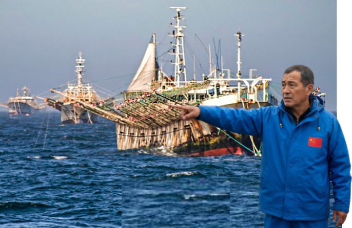 阿根廷魷魚季開局不利：惡劣天氣與資源分散致“零漁獲”(圖7)