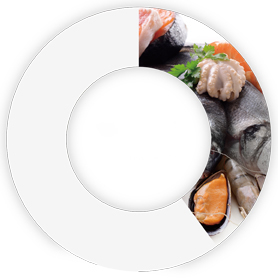 代理商/分銷(xiāo)商/批發(fā)商