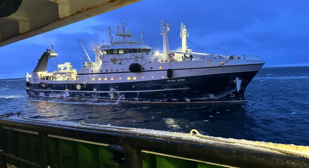 年初至今捕撈超22萬噸，俄羅斯?jié)O業(yè)哪些海鮮這么“能打”？(圖2)