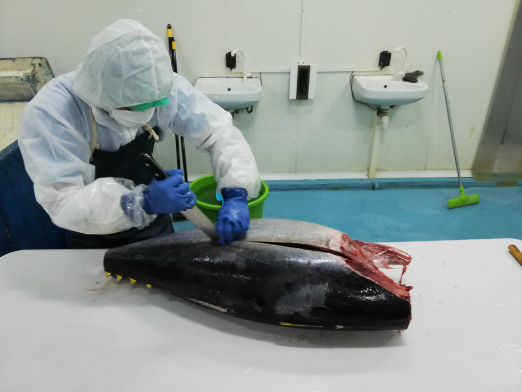 日本向印尼金槍魚敞開大門！11類海產(chǎn)品將降至0關(guān)稅(圖2)