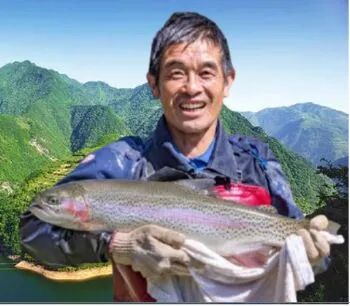 秦嶺深處養(yǎng)出“冷泉三文魚”，商洛探索漁業(yè)新路徑(圖4)