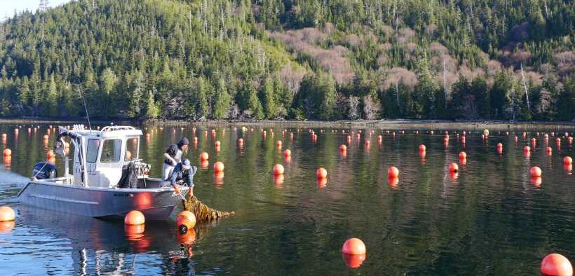 美國(guó)正式將水產(chǎn)養(yǎng)殖列為“2026年優(yōu)先事項(xiàng)”，釋放了什么信號(hào)？(圖3)