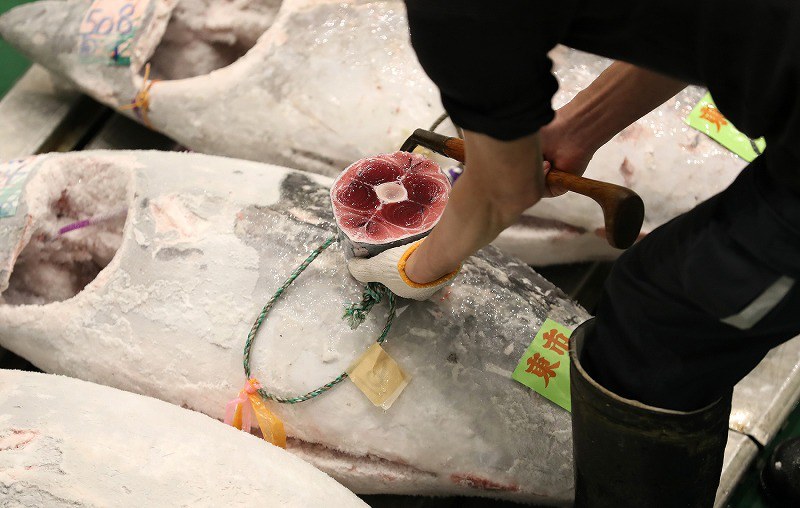 日本金槍魚市場(chǎng)第9周出現(xiàn)分化 冷凍藍(lán)鰭金槍魚價(jià)格飆升38%(圖3)