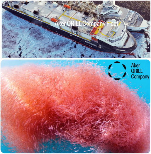 南極聯(lián)盟反對(duì)對(duì)磷蝦漁業(yè)的MSC再認(rèn)證(圖4)