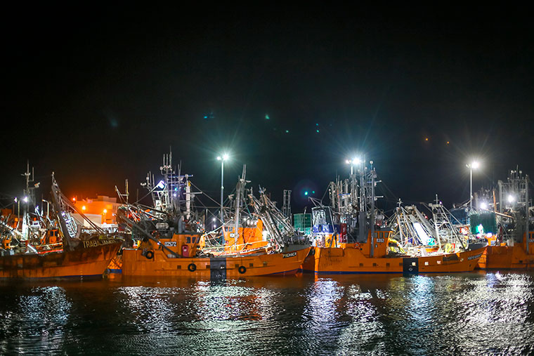 丘布特以90,000噸捕撈量 結(jié)束羅森港2025–2026年蝦捕撈季(圖2)