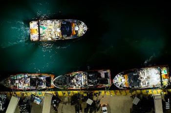 丘布特以90,000噸捕撈量 結(jié)束羅森港2025–2026年蝦捕撈季(圖1)