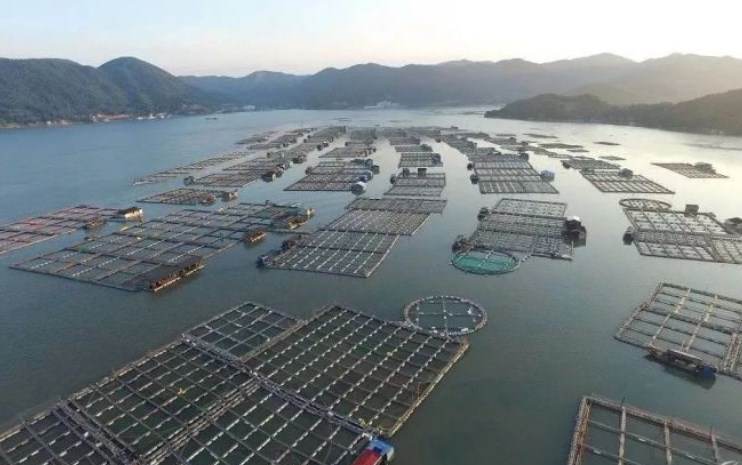 設(shè)備驅(qū)動(dòng)增效，冷鏈保障價(jià)值：2026上海漁博會(huì)匯聚養(yǎng)殖裝備、加工機(jī)械、冷鏈科技定義水產(chǎn)新局(圖2)