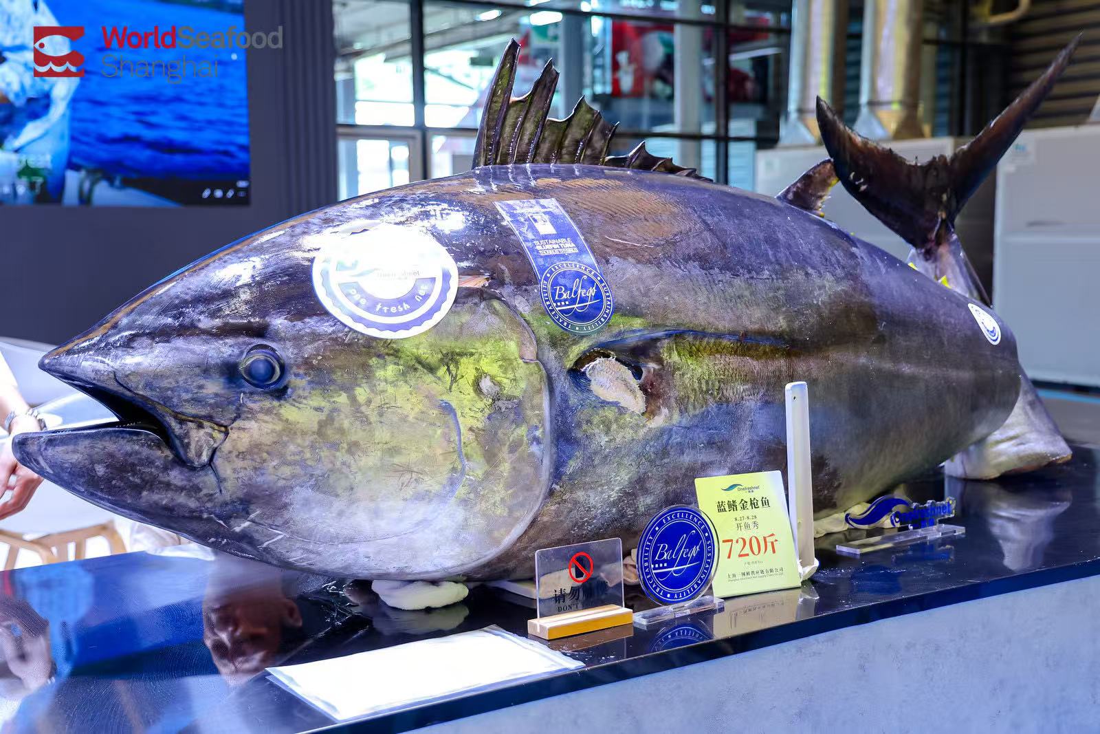 從海洋到禮單，開啟千億禮贈新藍(lán)海 | 2026上海漁博會“電商禮品專區(qū)”隆重邀約(圖12)