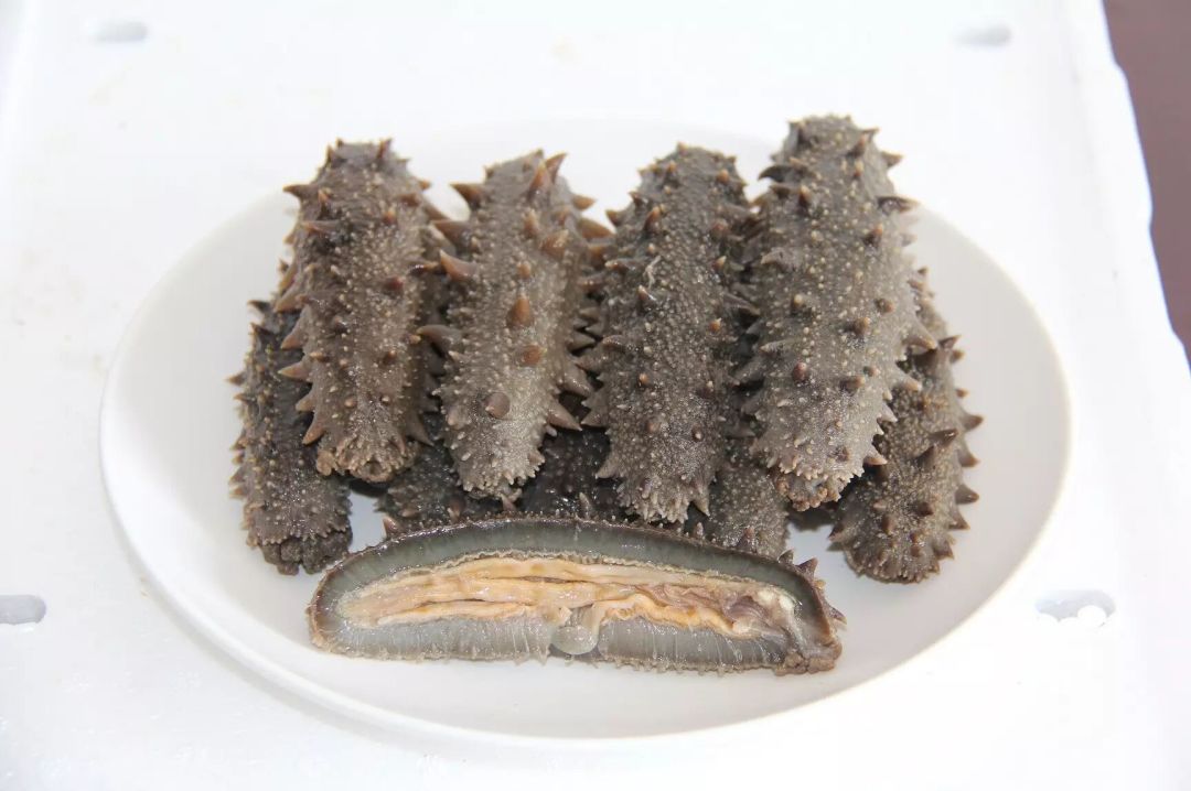 高端不貴，便捷翻倍！上海漁博會滋補(bǔ)新品正在適配年輕化“快養(yǎng)生”(圖10)