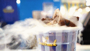 高端不貴，便捷翻倍！上海漁博會滋補(bǔ)新品正在適配年輕化“快養(yǎng)生”(圖17)