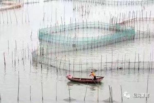 中國(guó)水產(chǎn)養(yǎng)殖業(yè)、漁業(yè)正在發(fā)生巨大轉(zhuǎn)變！