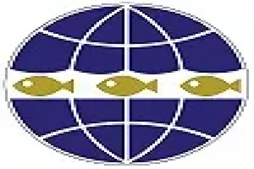 龐仕水產——匠心于漁，用心于您