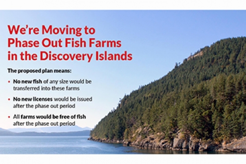 Canada announces some salmon farms in British Columbia to be phased out in 18 months