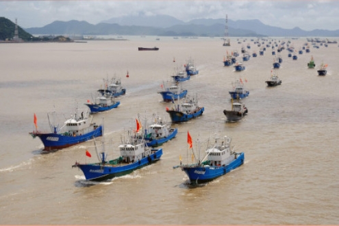 China’s Fisheries Policy Makes Belated Shift To Sustainability – Analysis