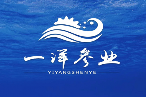 山東一洋海洋科技有限公司——匠心良品 一洋海參