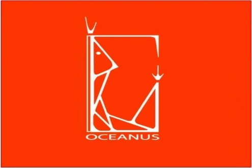 【優(yōu)質(zhì)展商】青島盛海明嘉貿(mào)易有限公司——100%純天然甜蝦