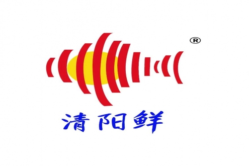 從南極到上海餐桌，格利斯冰魚演繹 15000 公里的深海傳奇！