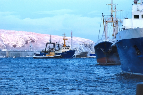 俄羅斯北方漁業(yè)再掀國(guó)有化浪潮，法律矛頭指向“隱形外資”