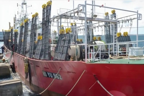 首批魷釣船滿載而歸巴塔哥尼亞！2026全球魷魚(yú)卸貨季火熱開(kāi)場(chǎng)