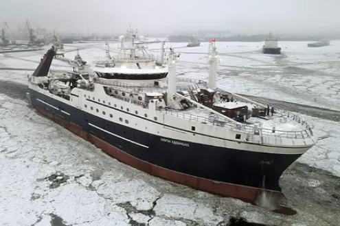 年初至今捕撈超22萬(wàn)噸，俄羅斯?jié)O業(yè)哪些海鮮這么“能打”？