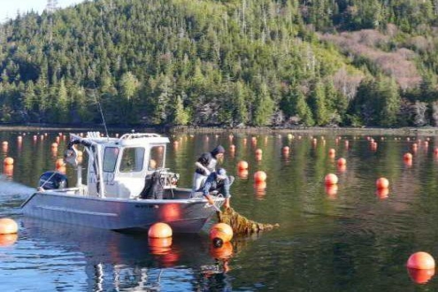 美國正式將水產(chǎn)養(yǎng)殖列為“2026年優(yōu)先事項”，釋放了什么信號？