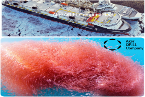 南極聯(lián)盟反對對磷蝦漁業(yè)的MSC再認證