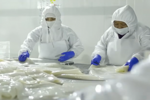 魷魚“注水”內(nèi)幕：保水劑，是科技還是狠活？