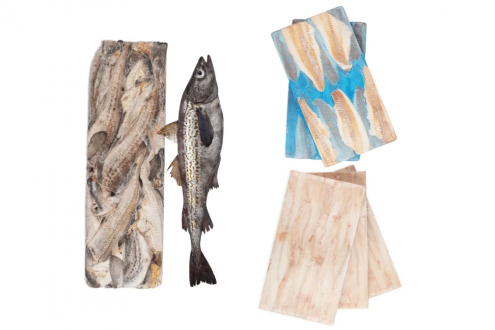 歐洲"爆單"！中國鱈魚現(xiàn)貨價飆升，每噸高出合同價300美元