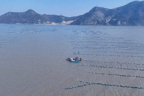 從“土特產(chǎn)”到“金招牌”，舟山海鮮的成功學(xué)如何copy？