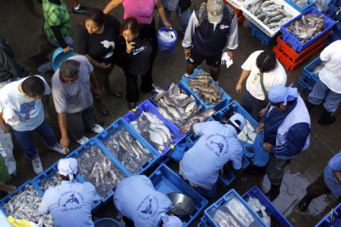 秘魯魷魚價格突然掉頭，阿根廷穩(wěn)如磐石：中國買家“收手”了？