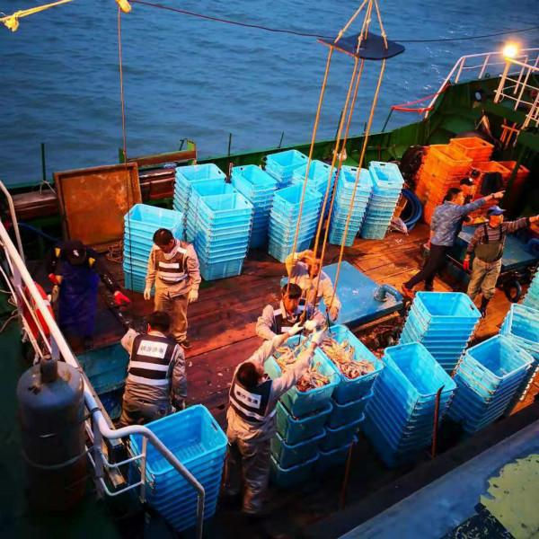 俄羅斯鮮活帝王蟹進(jìn)口激增687%，行業(yè)面臨重新洗牌(圖2)