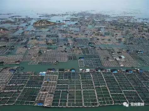 中國水產養(yǎng)殖業(yè)、漁業(yè)正在發(fā)生巨大轉變！(圖2)