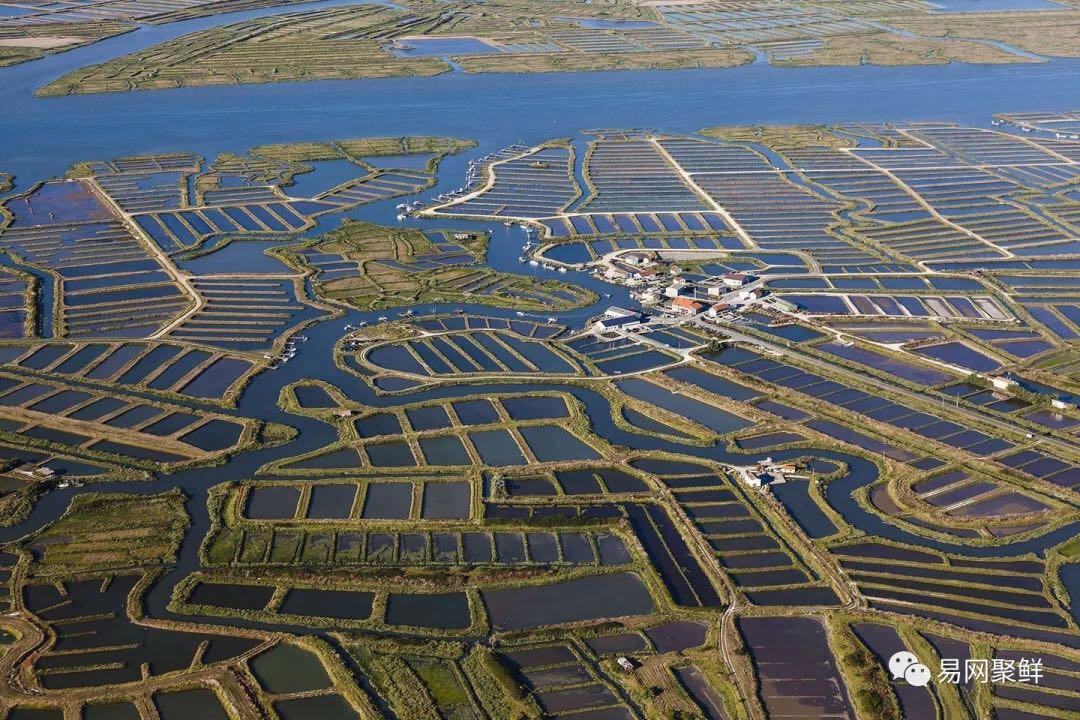 中國水產養(yǎng)殖業(yè)、漁業(yè)正在發(fā)生巨大轉變！(圖4)