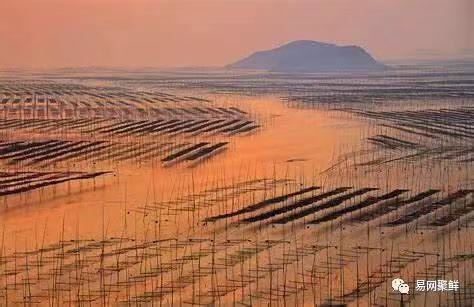 中國水產養(yǎng)殖業(yè)、漁業(yè)正在發(fā)生巨大轉變！(圖6)