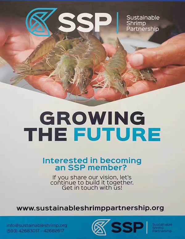 厄蝦鮮動(dòng)中國(guó)，即將亮相2019上海漁博會(huì)！(圖5)