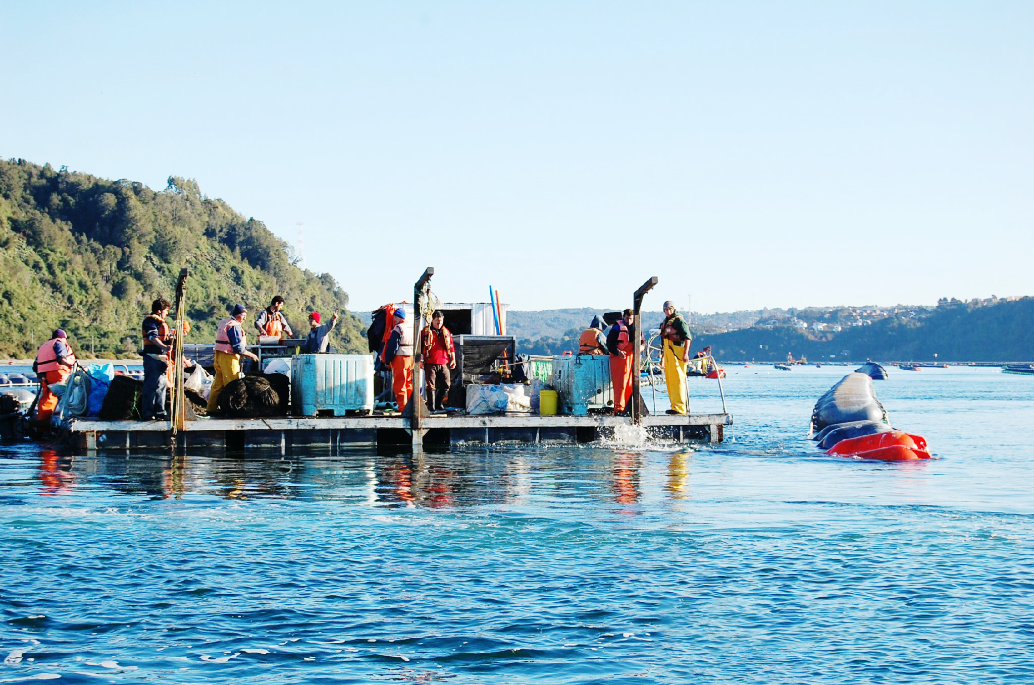 "智味臻藏，天涯美味" ——舌尖上的智利 再次回歸2019上海漁博會！(圖1)