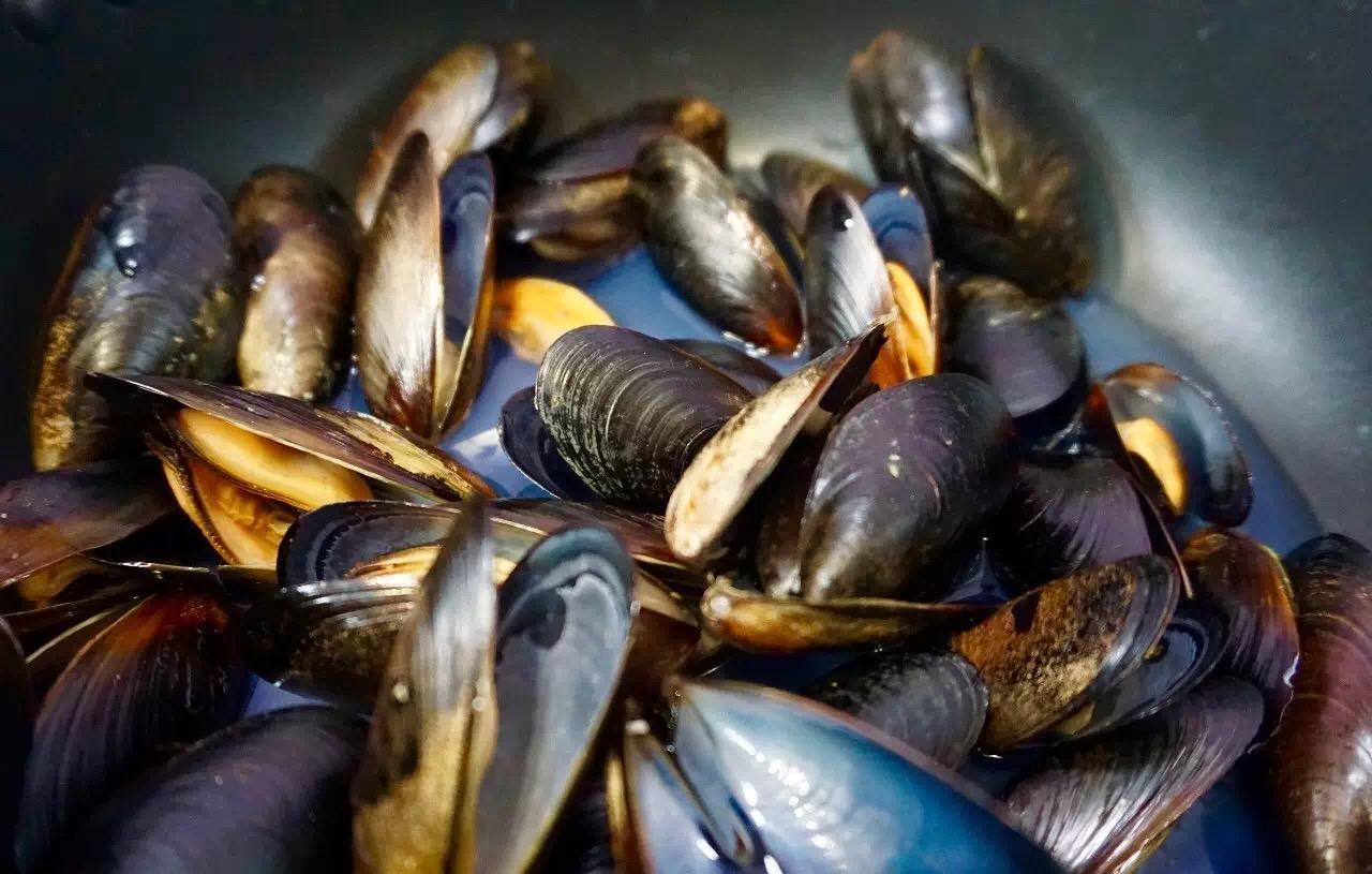 "智味臻藏，天涯美味" ——舌尖上的智利 再次回歸2019上海漁博會！(圖5)