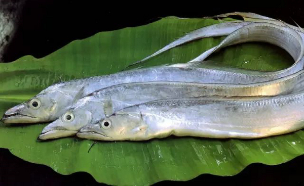 歡迎巴基斯坦供應商Maritime Fisheries再次亮相2018上海國際漁博會(圖5)