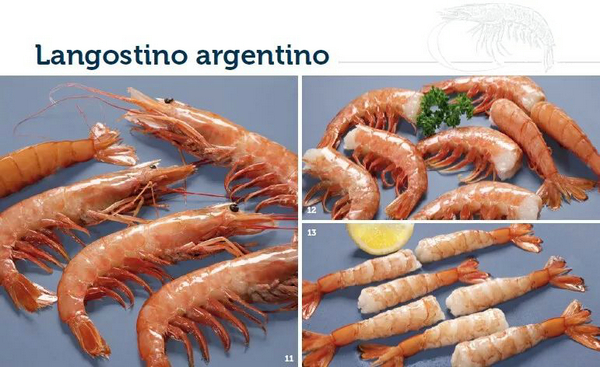 著名阿根廷紅蝦供應(yīng)商IBERCONSA再助力上海國際漁博會(圖3)