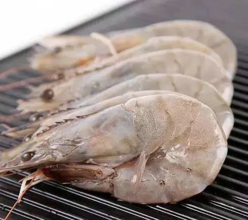 四載相伴，上海漁博會與厄瓜多爾再盼砥礪前行(圖4)