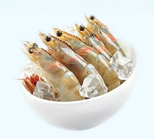 四載相伴，上海漁博會與厄瓜多爾再盼砥礪前行(圖5)