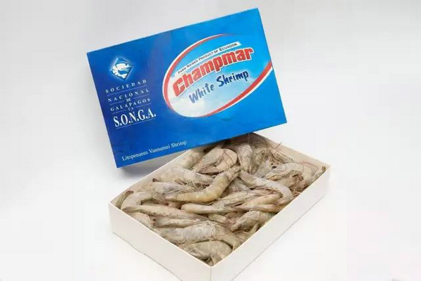 四載相伴，上海漁博會與厄瓜多爾再盼砥礪前行(圖8)