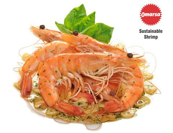 四載相伴，上海漁博會與厄瓜多爾再盼砥礪前行(圖12)