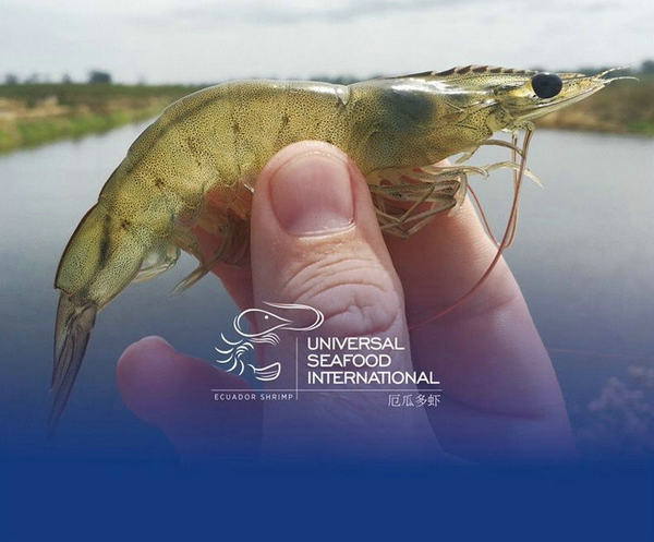 四載相伴，上海漁博會與厄瓜多爾再盼砥礪前行(圖11)